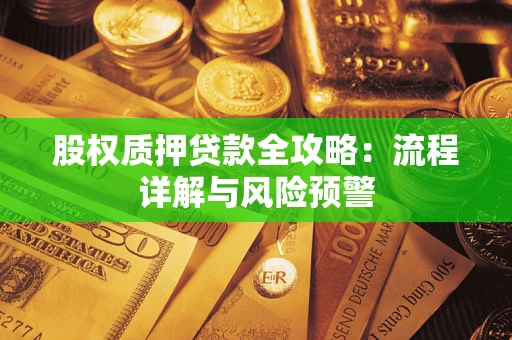 北京股权质押贷款全攻略：流程详解与风险预警