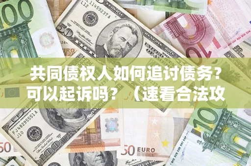 北京共同债权人如何追讨债务？可以起诉吗？（速看合法攻略）